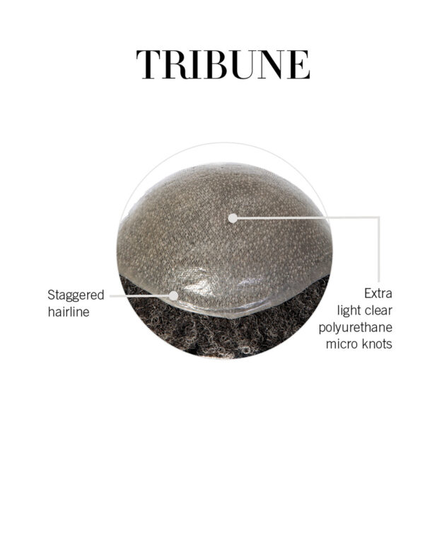 Tribune Cap Construction