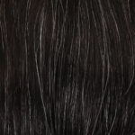 1B20 Darkest Brown with 20% Gray