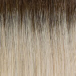 RH612SS Shaded Champagne